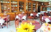 Туры в отель Thepparat Lodge