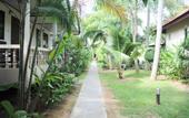 Туры в отель Thongtakian Resort