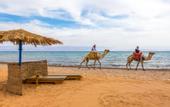 Туры в отель El Wekala Aqua Park Resort