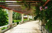 Туры в отель Summer Beach Resort