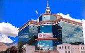 Туры в отель Tibet International Grand