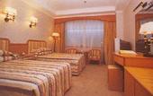 Туры в отель Tibet International Grand
