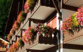 Туры в отель Hotel Azola