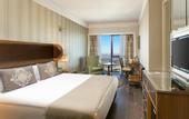 Туры в отель Windsor Hotel & Convention Center