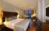 Туры в отель Windsor Hotel & Convention Center