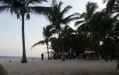 Туры в отель Tiwi Beach Resort