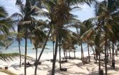 Туры в отель Tiwi Beach Resort