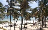 Туры в отель Tiwi Beach Resort