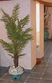 Туры в отель Tonicello Hotel Resort & Spa