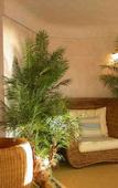 Туры в отель Tonicello Hotel Resort & Spa