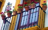 Туры в отель B&B Naranjo