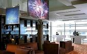 Туры в отель Traders