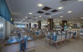 Туры в отель Trendy Hotel Palm Beach