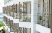 Туры в отель Trendy Hotel Palm Beach