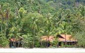 Туры в отель Baan Mai Cottages & Restaurant