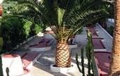 Туры в отель Hotel Tropical Ibiza