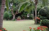 Туры в отель Baan Rajdamnern Resort