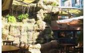 Туры в отель Tropicana Hotel