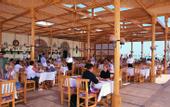 Туры в отель Azur Club Resort