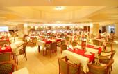 Туры в отель Tropicana Rosetta & Jasmine Club