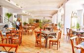 Туры в отель Tropitel Dahab Oasis