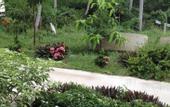 Туры в отель Baan Suan Fon Hotel