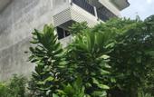 Туры в отель Baan Suan Fon Hotel
