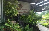 Туры в отель Baan Suan Fon Hotel