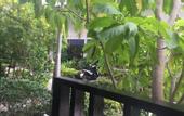 Туры в отель Baan Suan Fon Hotel