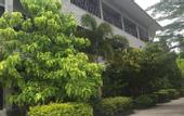 Туры в отель Baan Suan Fon Hotel
