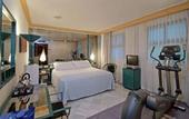 Туры в отель Vincci Albayzin