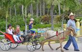 Туры в отель Tryp Cayo Coco