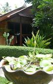 Туры в отель Baan Sukreep Resort