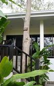 Туры в отель Baan Sukreep Resort