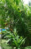 Туры в отель Baan Sukreep Resort