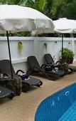Туры в отель Baan Sukreep Resort