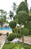 Туры в отель Baan Sukreep Resort