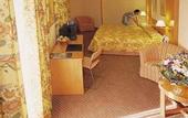 Туры в отель Tryp Ciudad de Elche