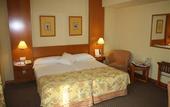 Туры в отель Tryp Ciudad de Elche