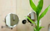 Туры в отель Tryp de Saxe