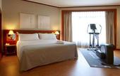 Туры в отель Tryp Madrid Menfis Hotel