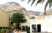 Туры в отель Milos Hotel Dead Sea