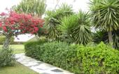 Туры в отель Tsialis Hotel Apartments