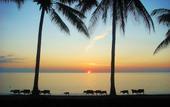 Туры в отель Tugu Hotel Lombok