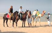 Туры в отель Casa Blue Resort & Spa