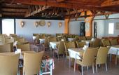 Туры в отель Turihan Beach Hotel