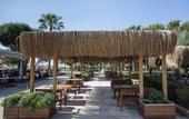 Туры в отель Club Turtas Beach Hotel