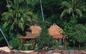 Туры в отель Turtle Island Resort