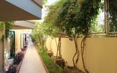 Туры в отель Gold Twins Family Beach Hotel