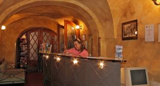 Hotel U Suteru Prague 3*